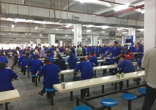 月薪八千背后的深圳奮斗觀 事業(yè)為上，婚戀從寬